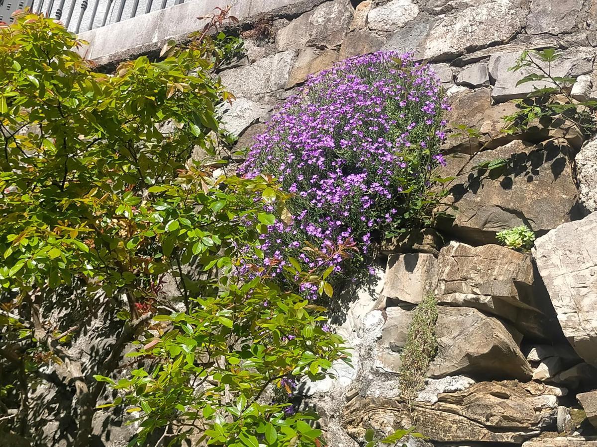 Torre Del Grifone Nel Medioevo Di Cividale Del Friuli Vila Faedis Exterior foto